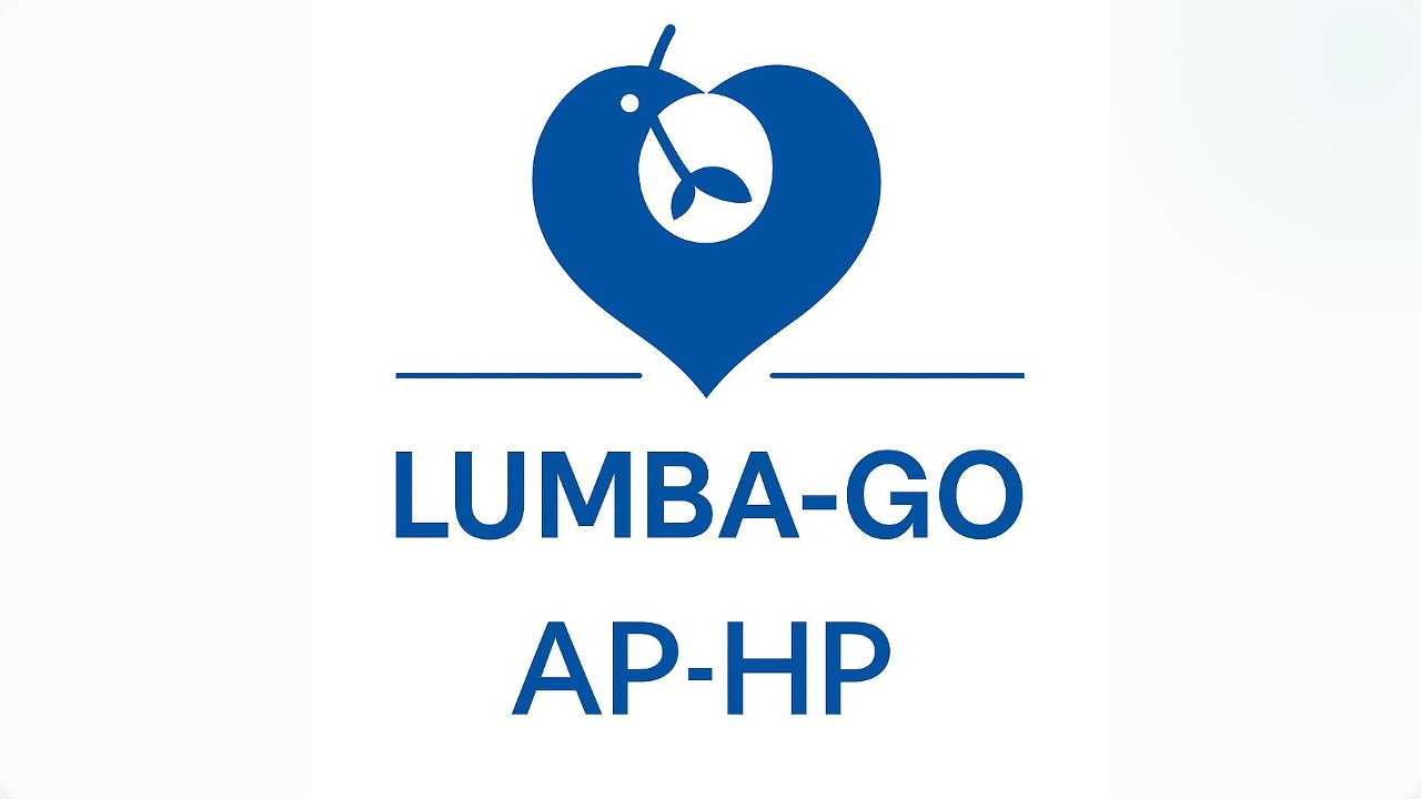 SOS LUMBA-GO AP-HP